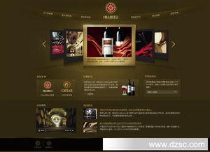 数字化时代的专业网站设计 从精品展示到动态交互的全方位解决方案